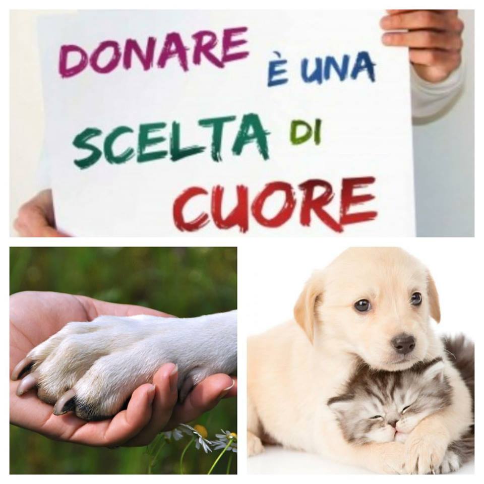 Canile cerca aiuti ma non soldi