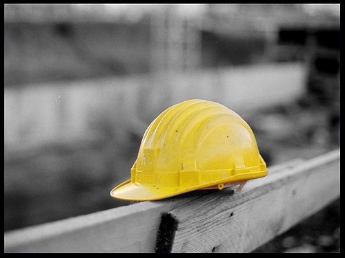 Produzione di alghe, in arrivo 70 posti di lavoro