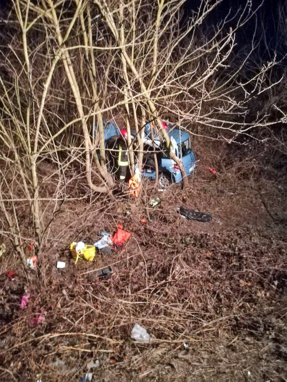 Emergenza cinghiali Coldiretti lancia l’allarme