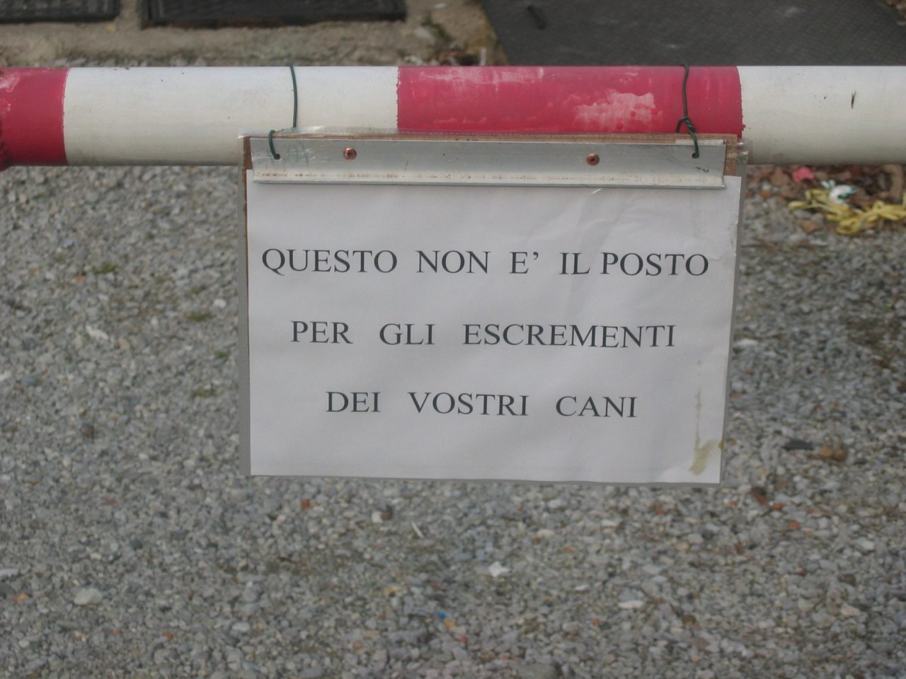 Parco invaso dalle cacche dei cani la protesta