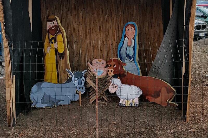 Rubano pecora dal presepe