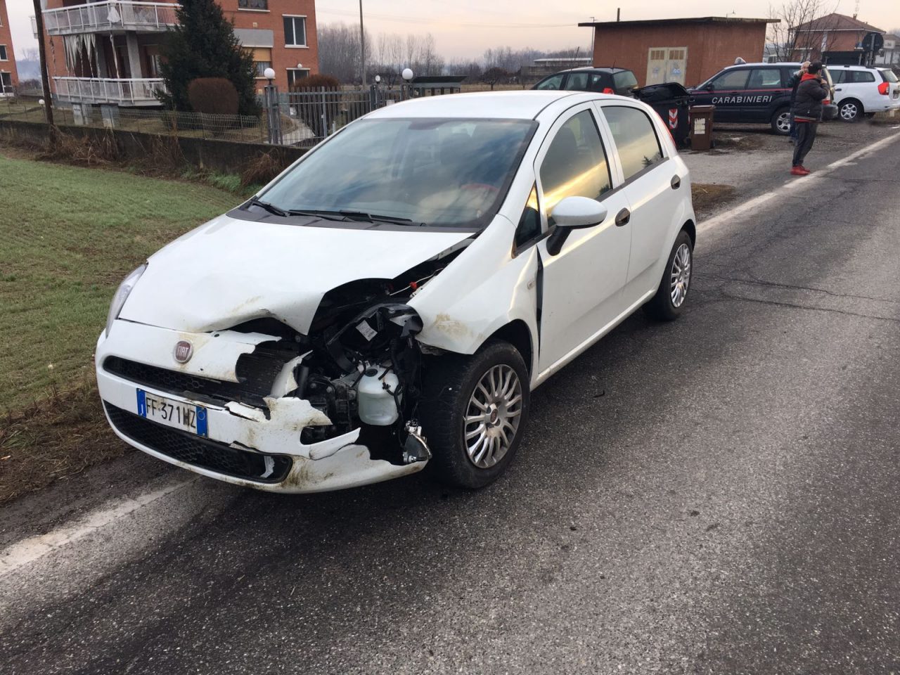 Emergenza cinghiali troppi incidenti