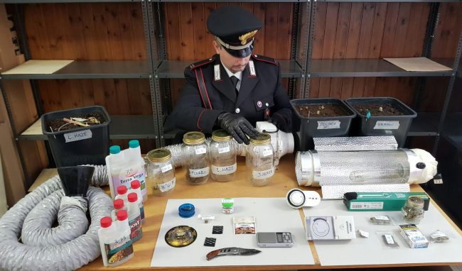 Droga in auto e casa denunciato