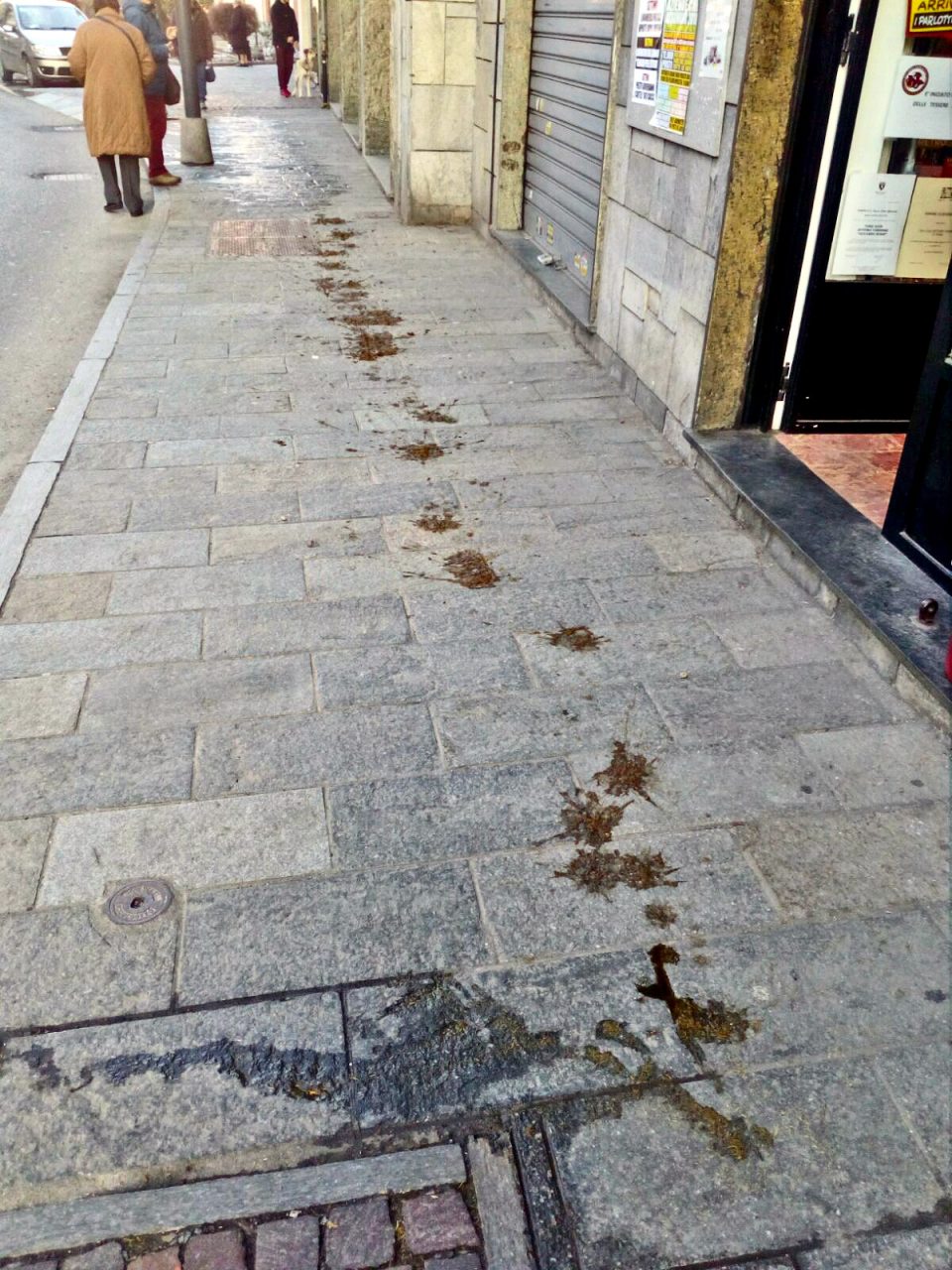 Strada piena di cacche di cavallo la protesta