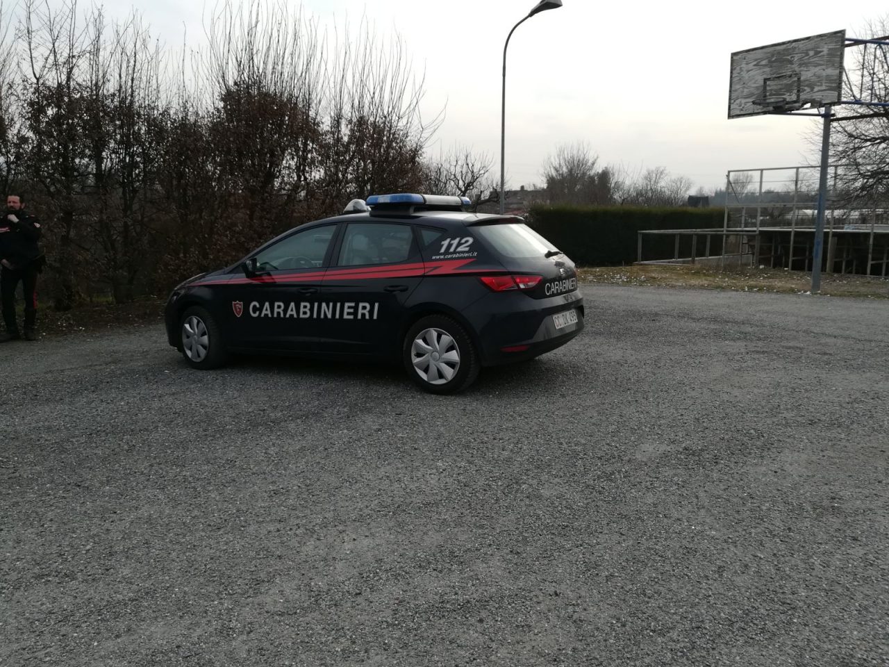 Cade mentre pota la pianta