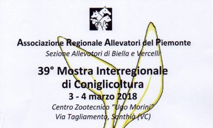 Mostra conigli evento interregionale