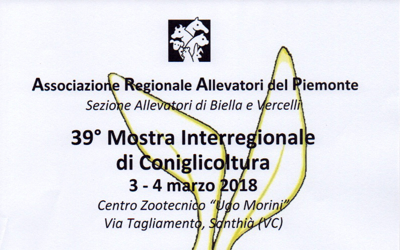 Mostra conigli evento interregionale