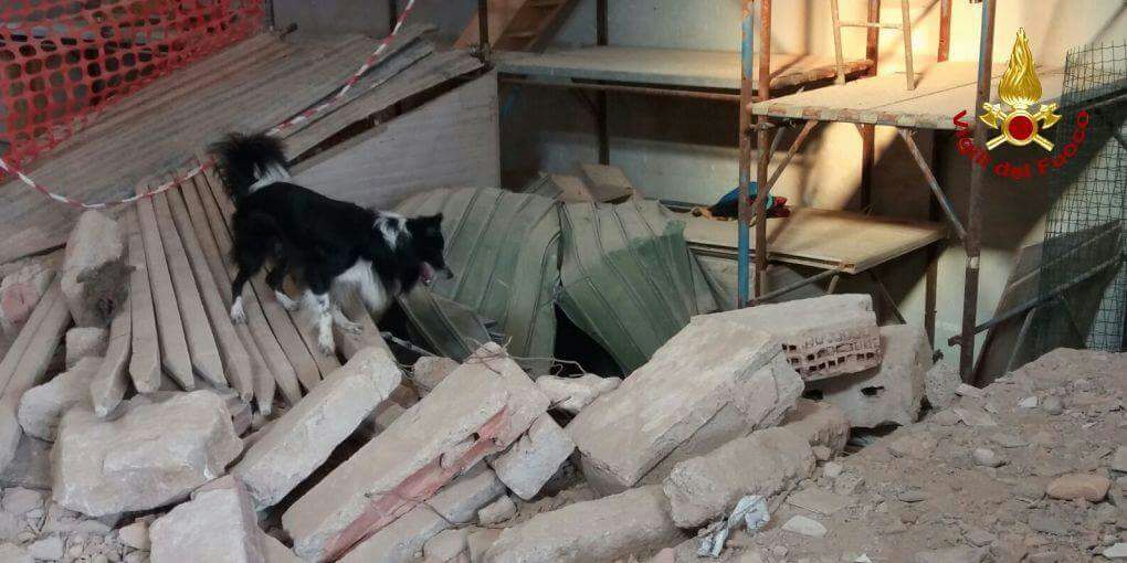 Cinofili nei Vigili del Fuoco