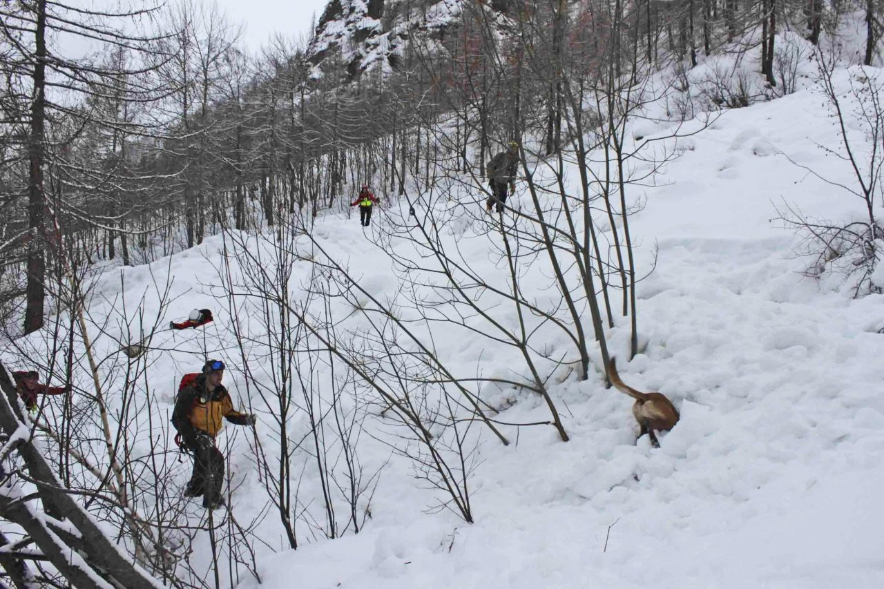 Valanga simulata nelle valli con i soccorritori