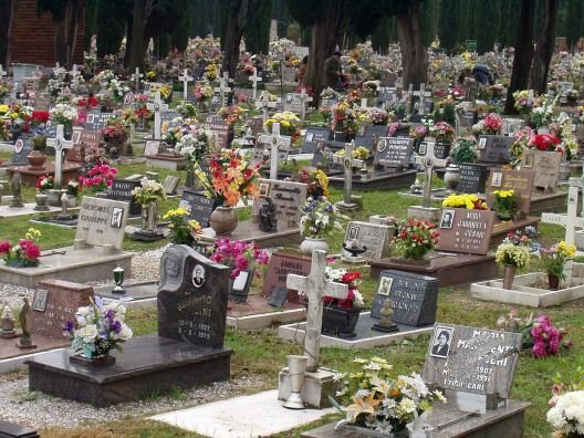 Cimitero vietato cani scoppia polemica