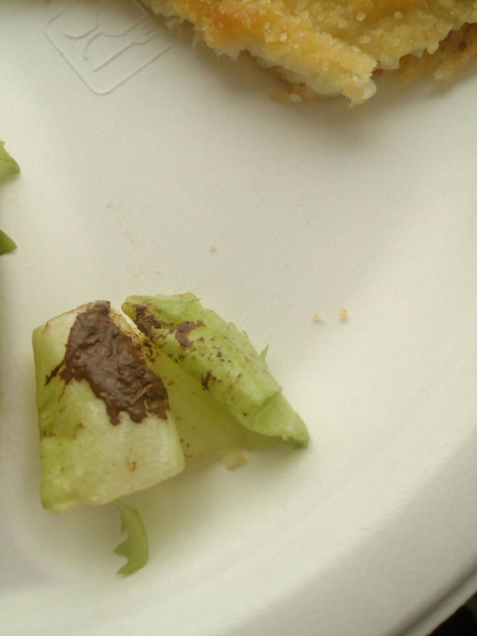 Insalata con terra in mensa la denuncia delle maestre