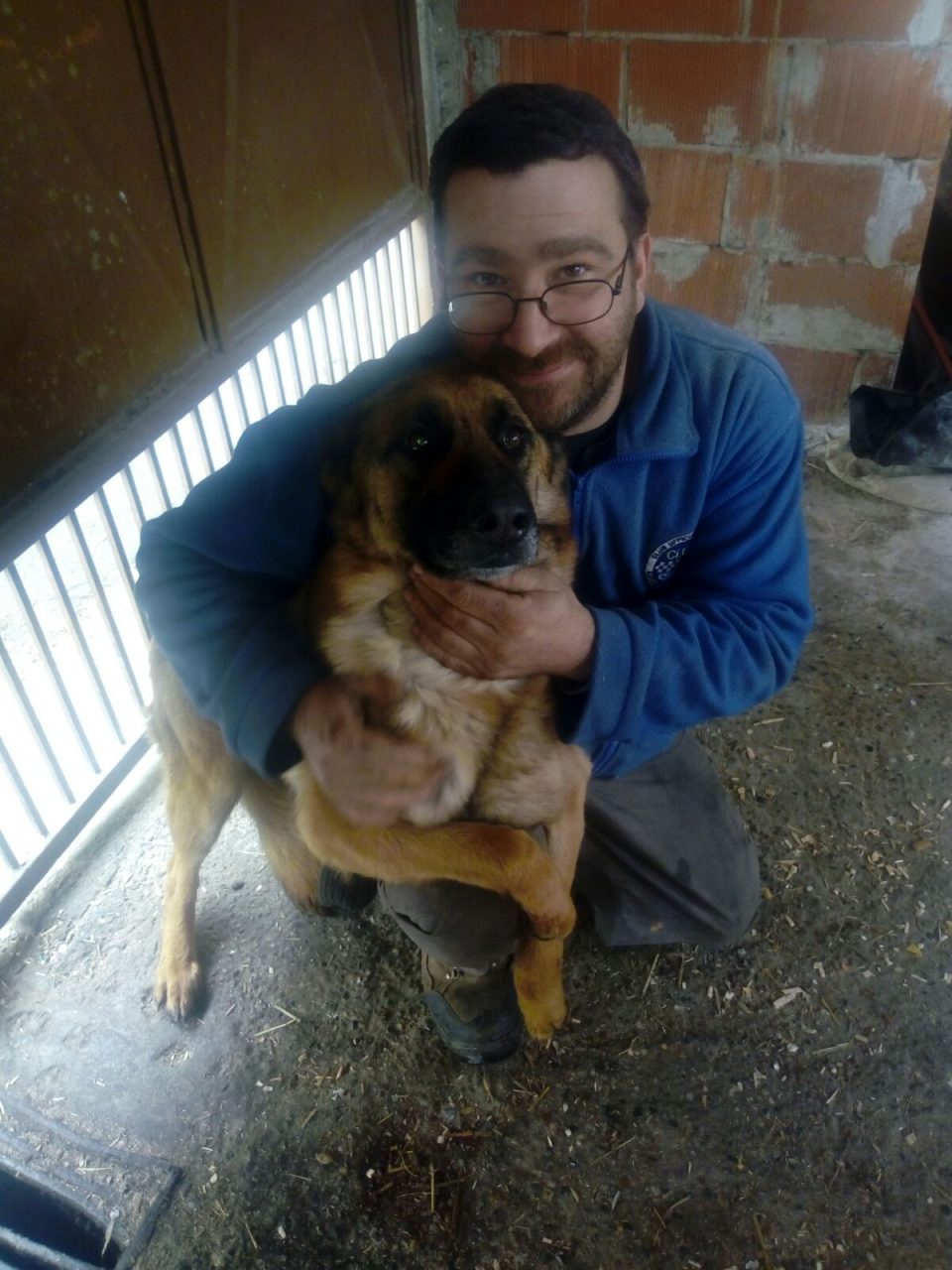 Cane azzanna ladro in casa