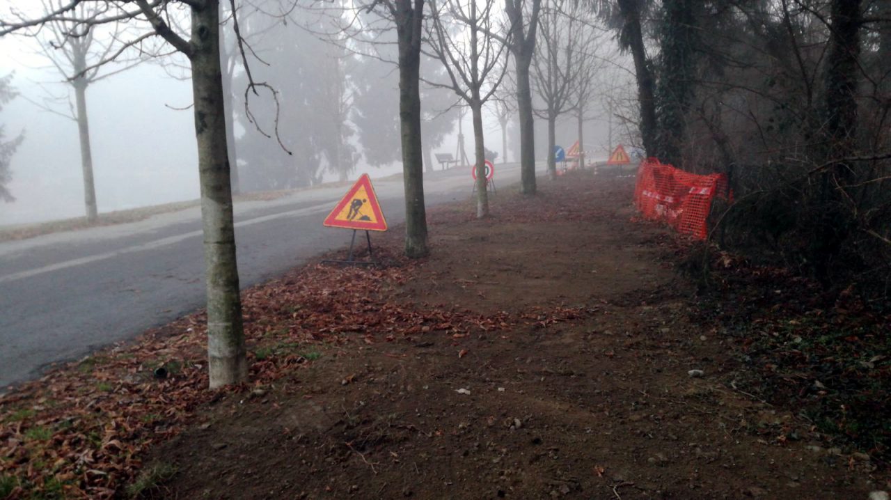 Avvistato un pavone lungo il canale Cavour