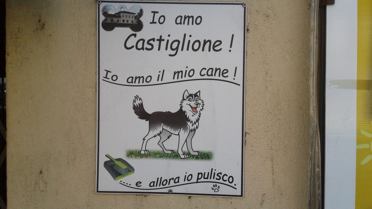 Cacche dei cani in strada parte la campagna del Comune