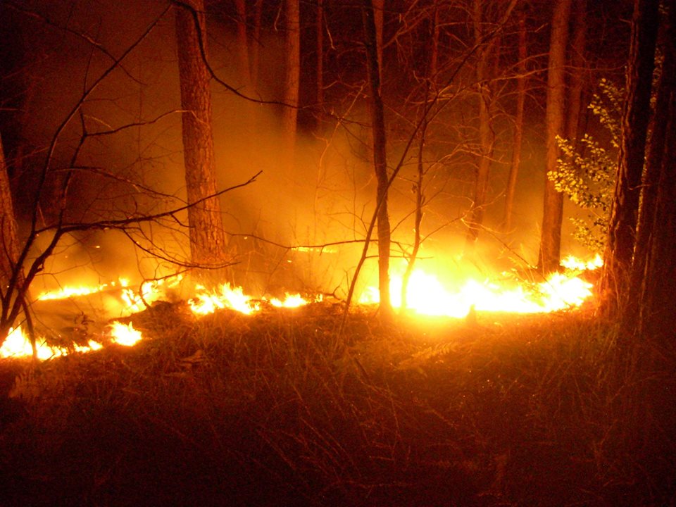 Sfogava la sua rabbia appiccando incendi, la confessione