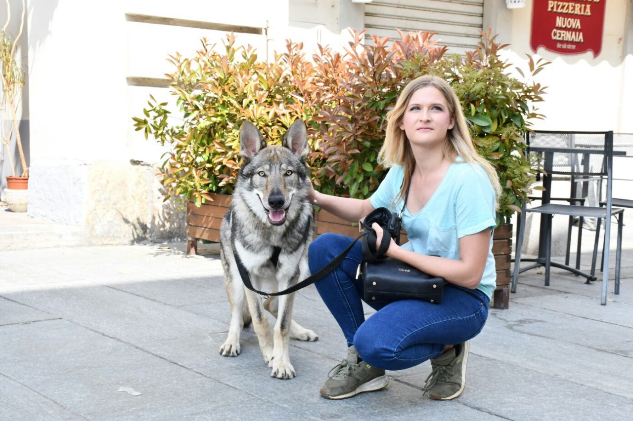 Lanciano candeggina contro il cane