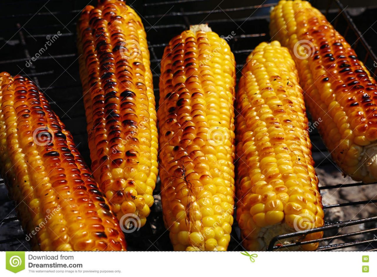 Barbecue abusivo | Multa e sequestro