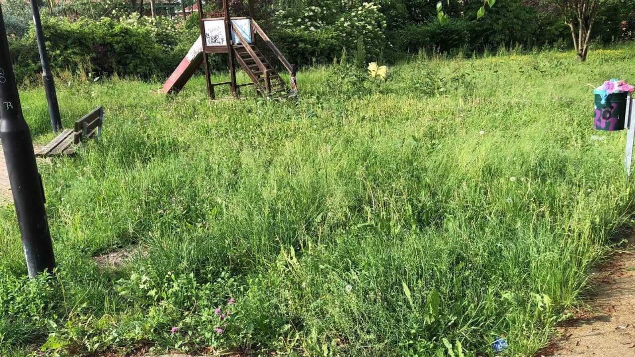 Erba alta al giardino impossibile giocare