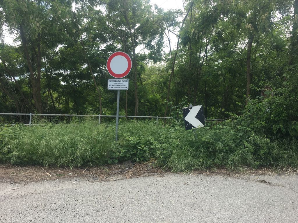 Safari in città MANDATECI LE VOSTRE FOTO!