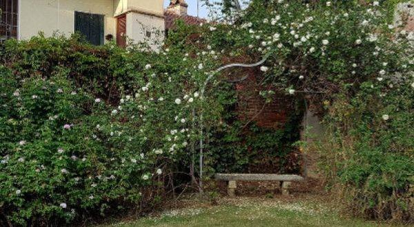 Balconi e giardini fioriti L’INIZIATIVA
