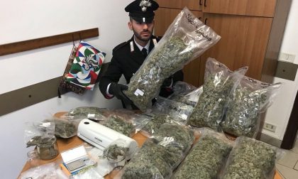 Arrestato "rappresentante" di marijuana ECCO CHI E'