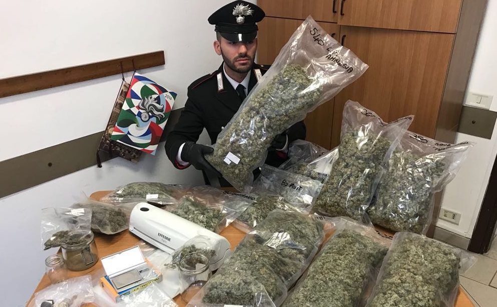 Arrestato “rappresentante” di marijuana ECCO CHI E’