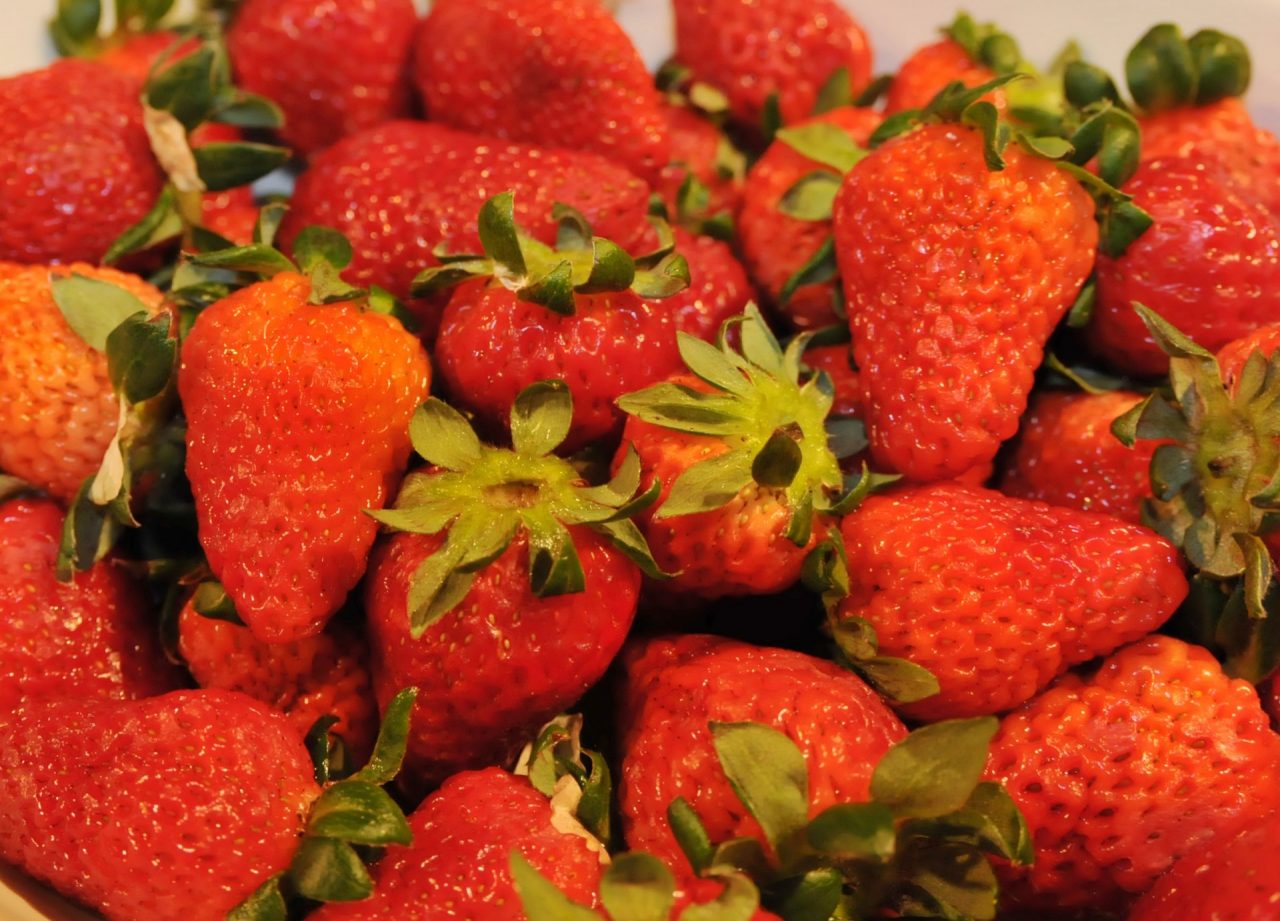 Sagra della fragola tutto pronto a Verrua
