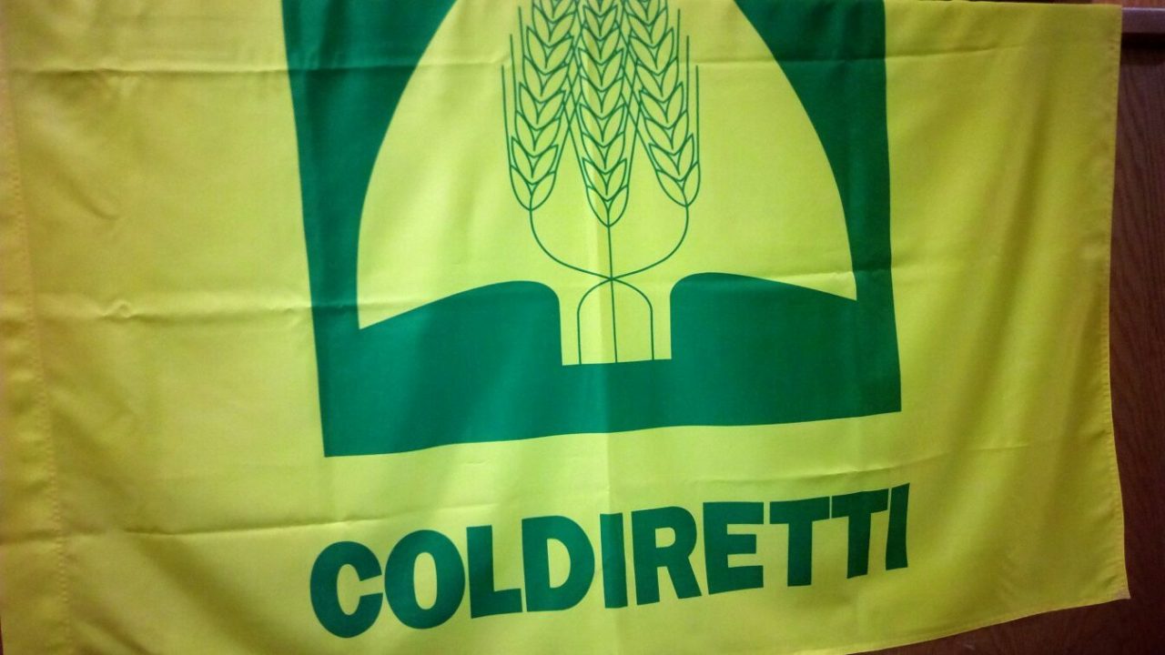 Bistecca day Apre il villaggio della Coldiretti