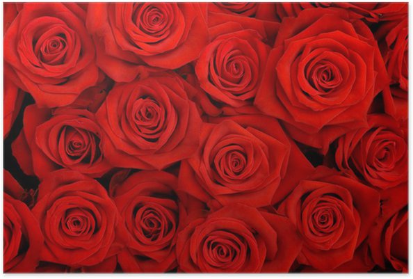 Manda 1800 rose per conquistare una commerciante