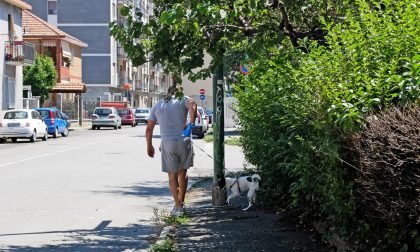 Albero invade marciapiede: impossibile camminare