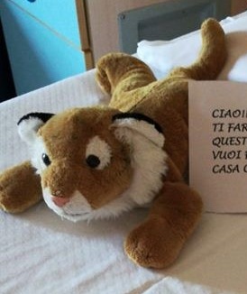Cercasi peluche per la Pediatria vercellese