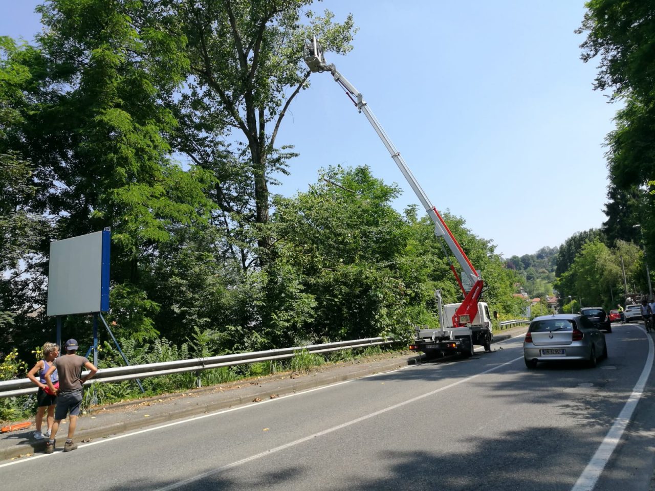 Albero pericoloso al via l’abbattimento I VIDEO