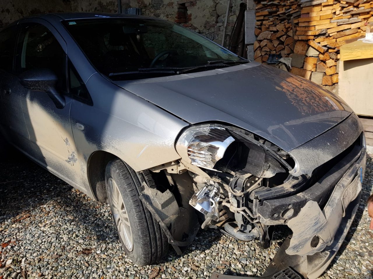 Auto contro cinghiale nella notte