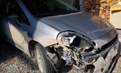 Auto contro cinghiale nella notte