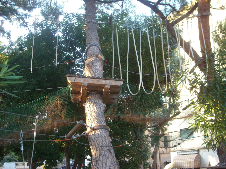 Giovane cade da 12 metri al Parco Avventura: è grave