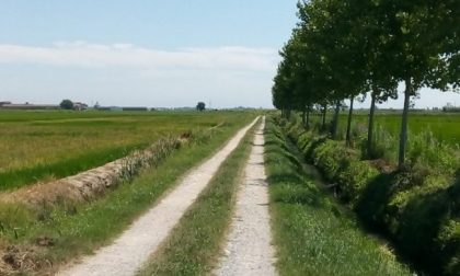 Donna scomparsa, continuano le ricerche