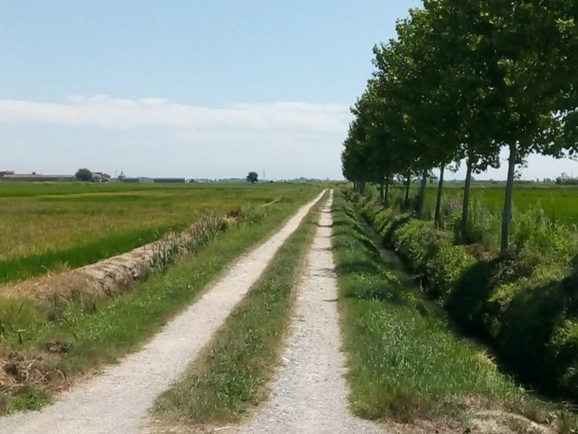 Donna scomparsa, continuano le ricerche