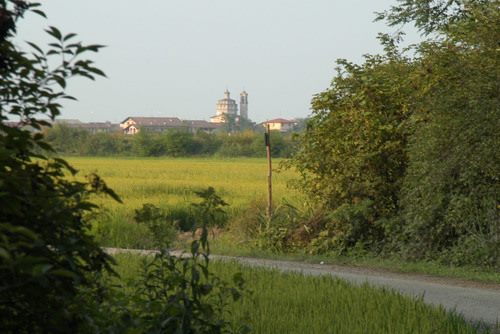Ferragosto, celebrazione religiosa al cimitero