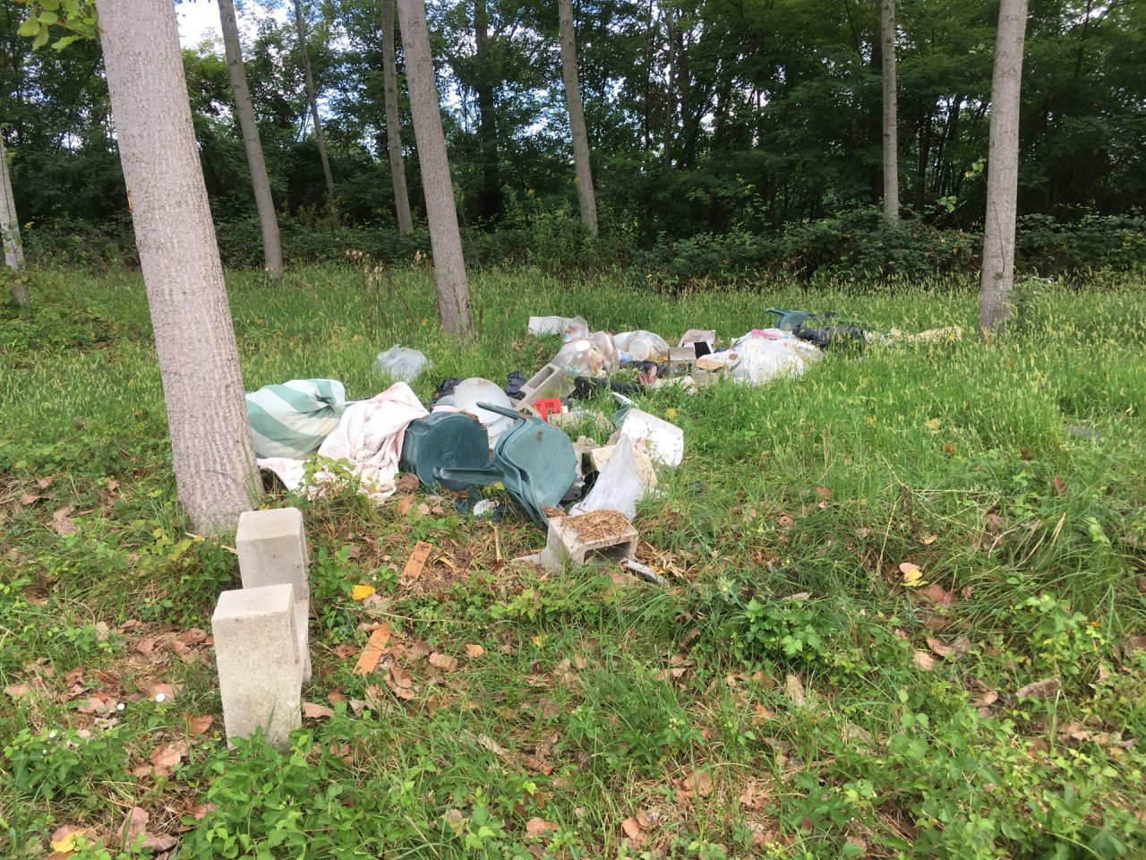 Discariche abusive, controlli e sanzioni