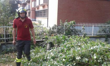 Pioggia e vento incessanti, cade un albero in piazza, cortili allagati e sottopasso chiuso FOTO E VIDEO