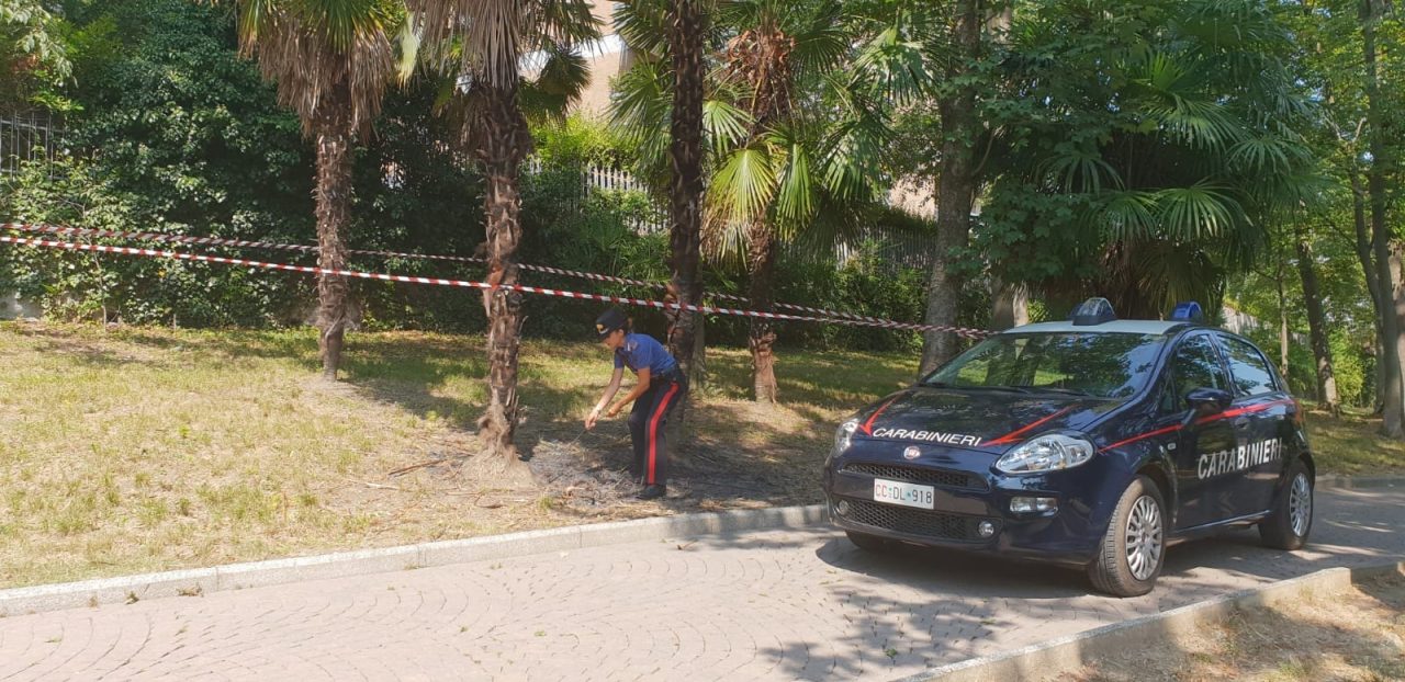 Appiccano incendio poi postano le immagini sui social