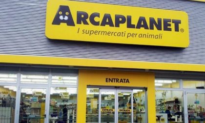 Ubriaco tenta furto da Arcaplanet, arrestato