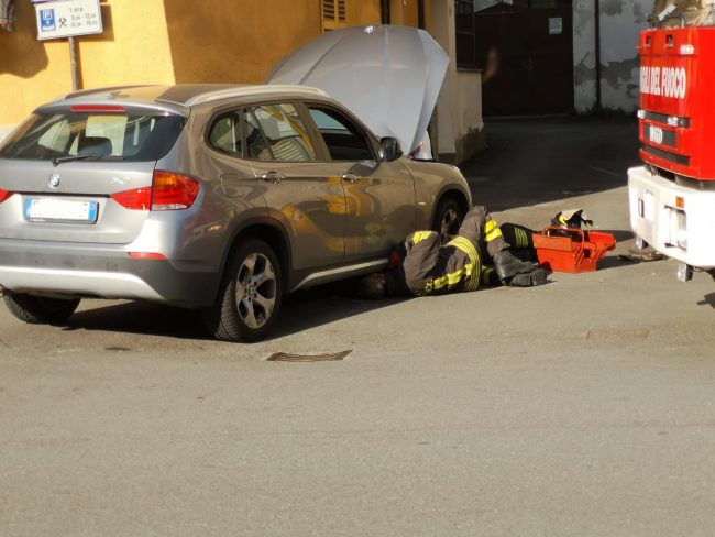 Serpente in auto, attimi di paura