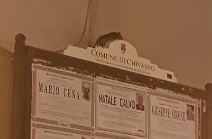 Topo in pieno centro a Chivasso
