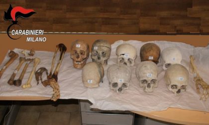 Teschi e ossa comprati online trovati in alcune case in Piemonte