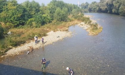 Protezione civile pulisce il torrente LE FOTO