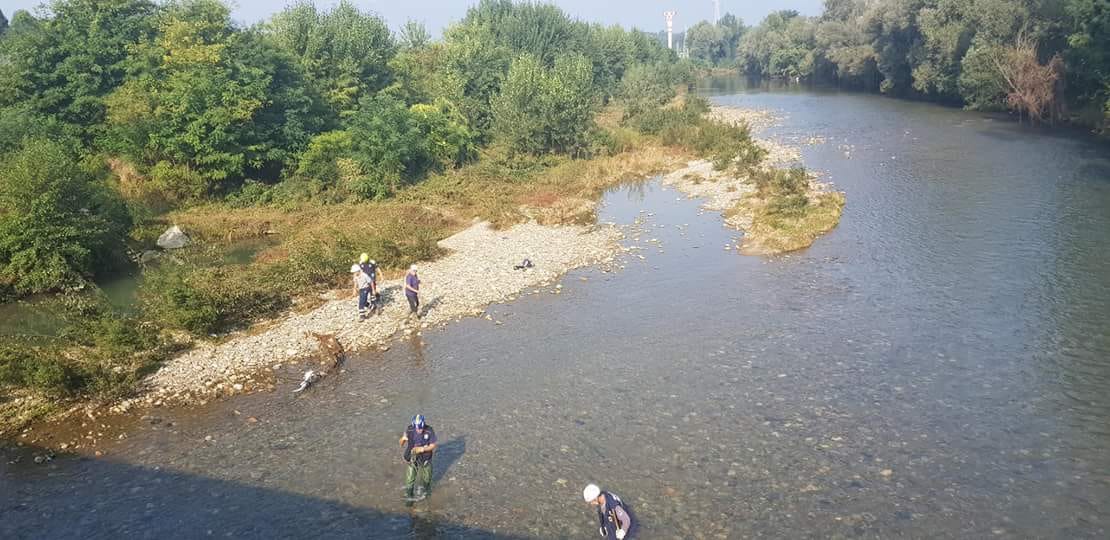 Protezione civile pulisce il torrente LE FOTO