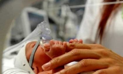 Coccole come cura per i neonati in terapia intensiva a Torino