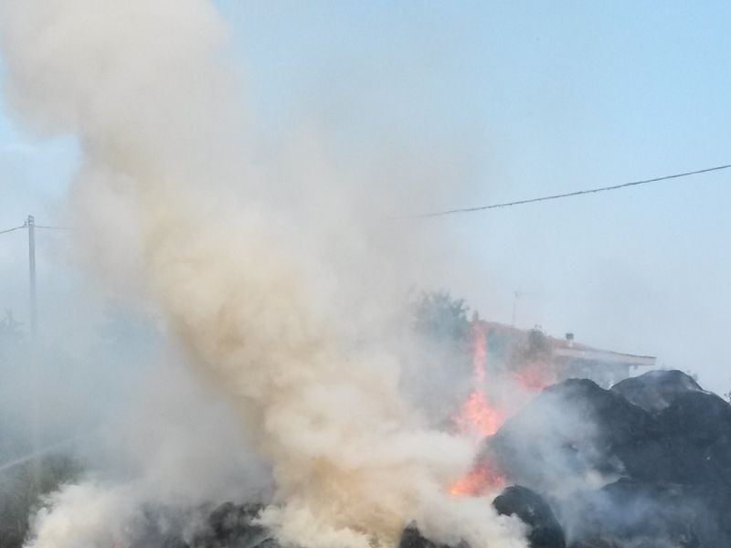 Fiamme nell’azienda agricola | FOTO