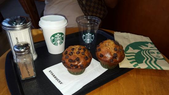 Starbucks cerca casa a Torino